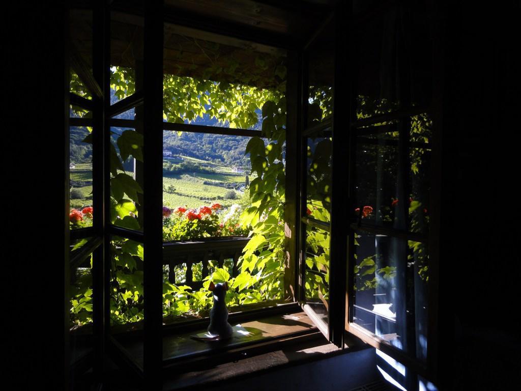 Villa Bertagnolli - Locanda Del Bel Sorriso Trento Exteriör bild
